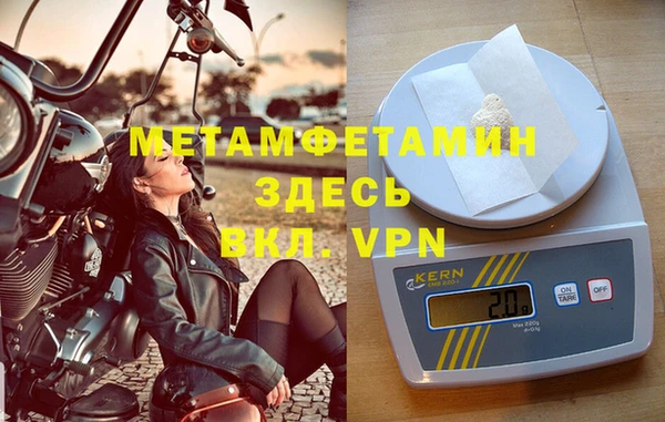 сатива Каменка