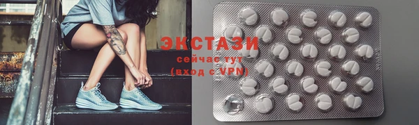 сатива Каменка