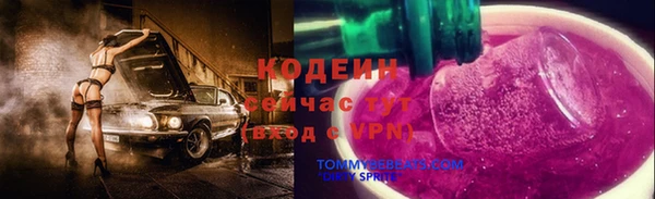 сатива Каменка