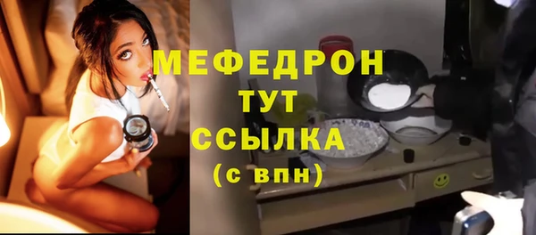 сатива Каменка