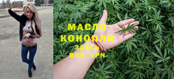 сатива Каменка