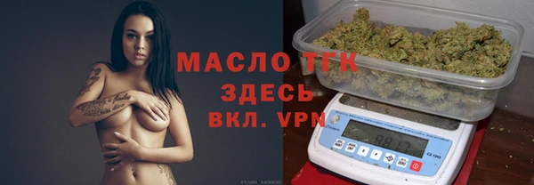 сатива Каменка