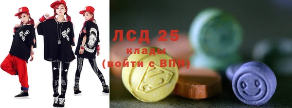 сатива Каменка