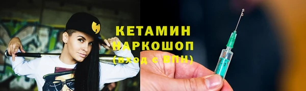 сатива Каменка