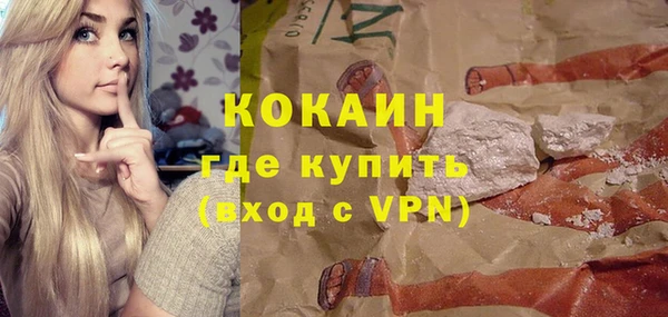сатива Каменка