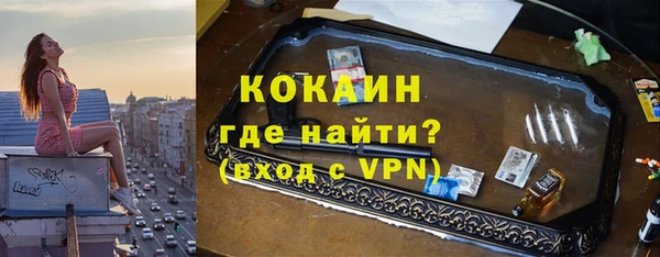 сатива Каменка