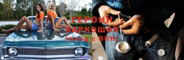 сатива Каменка